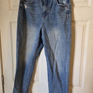 American Eagle Outfitters Relaxed Blue Jeans